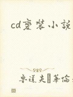 cd变装小说