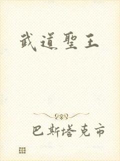 武道圣王