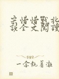 宋惜惜战北望小说全文阅读