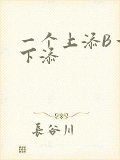 一个上添B一个下添