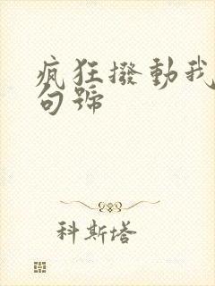 疯狂拨动我的小句号