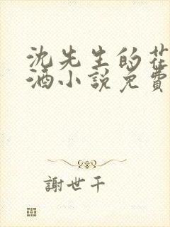 沈先生的花式调酒小说免费阅读