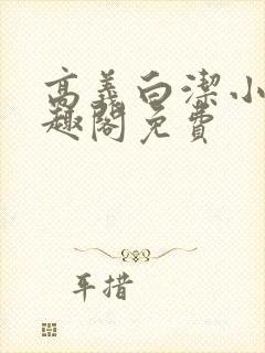 高义白洁小说笔趣阁免费