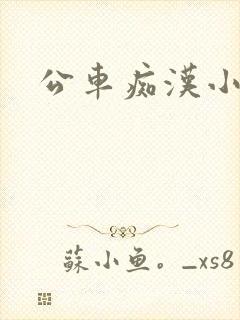 公车痴汉小说