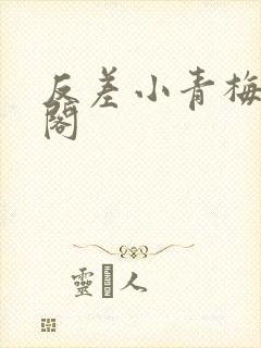 反差小青梅笔趣阁