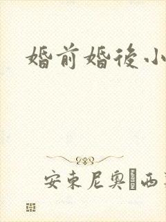 婚前婚后小说