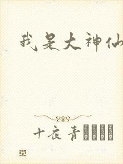 我是大神仙小说