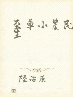 至尊小农民王木生