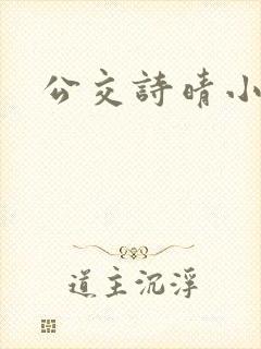 公交诗晴小说