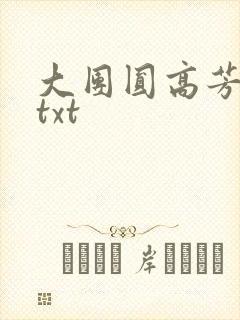 大团圆高芳小说txt