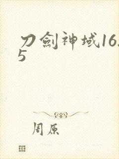 刀剑神域16.5