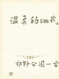 温柔的sm我