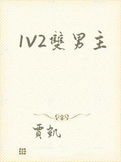 1V2双男主