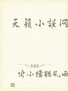 天籁小说网