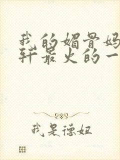 我的媚骨妈妈林轩最火的一句