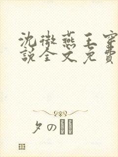 沈微燕王穿越小说全文免费阅读