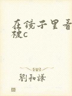 在镜子里看自己被c