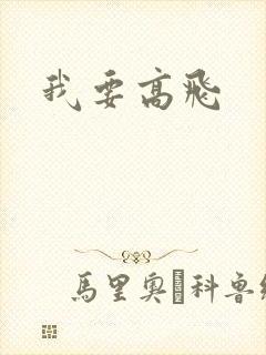 我要高飞