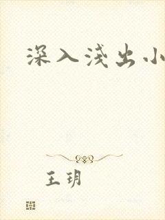 深入浅出小说