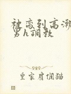 被脔到高潮的直男h调教