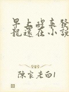 早上醒来发现巨龙还在小说