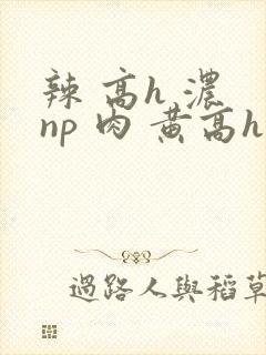 辣 高h 浓 np 肉 黄高h