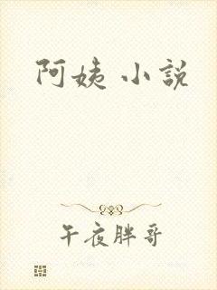 阿姨 小说