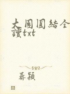 大团圆结全文阅读txt