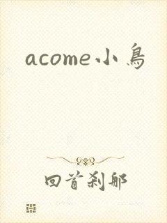 acome小鸟