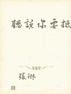 听说你要抵抗我