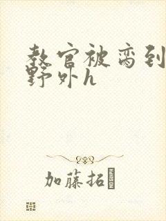 教官被脔到高潮野外h