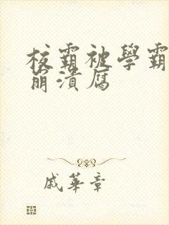 校霸被学霸玩到崩溃腐