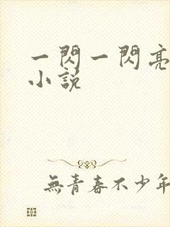 一闪一闪亮星星小说