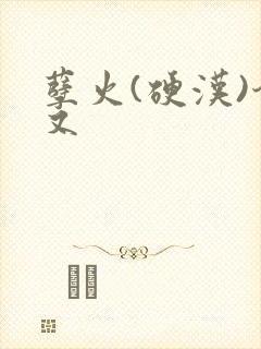 孽火(硬汉)今又