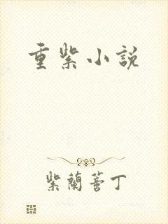 重紫小说