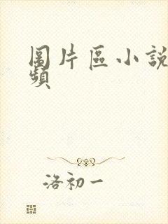 图片区小说区视频