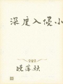 深度入侵小说