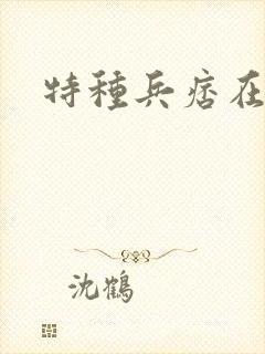 特种兵痞在都市