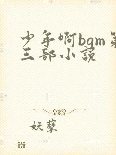 少年啊bgm第三部小说