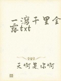 一泻千里金银花露txt