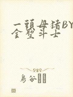 一头母猪BY黄金圣斗士