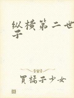 纵横第二世界宽子