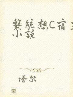 系统想C宿主的小说
