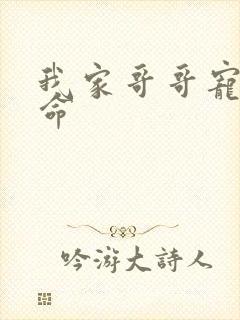 我家哥哥宠妹如命