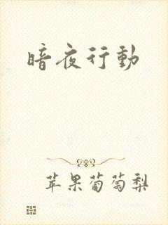 暗夜行动