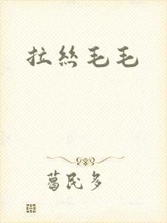 拉丝毛毛