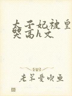 太子妃被皇上c哭高h文