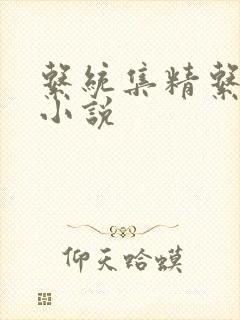 系统集精系统 小说