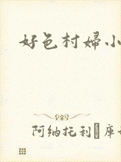 好色村妇小银贼