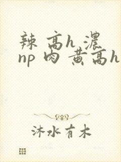 辣 高h 浓 np 肉 黄高h
